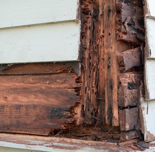A person is spraying insecticide on a wooden building.