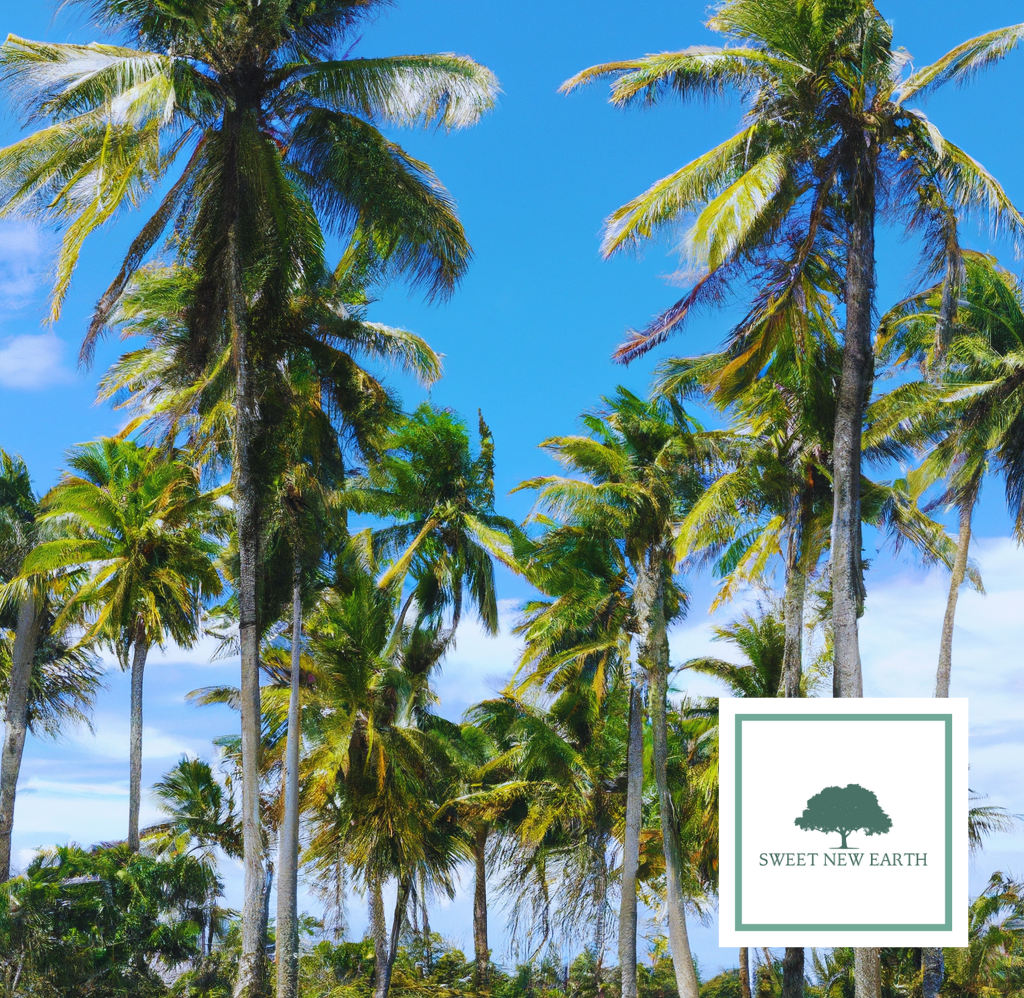 types of coconut trees