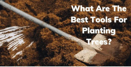 tools for planting trees