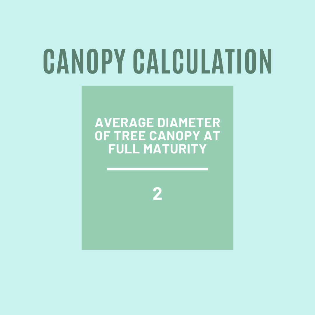 canopy calculation inforgraphic
