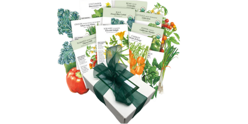 vegetable seed collection