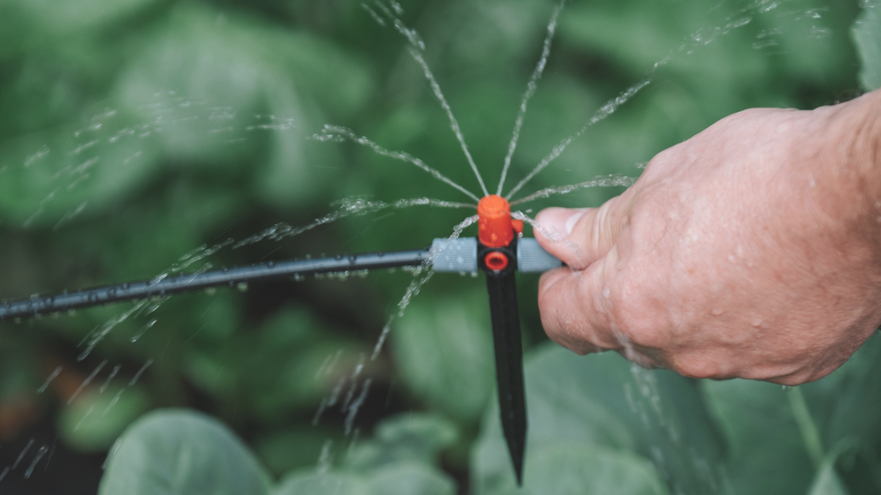 drip irrigation sprayer