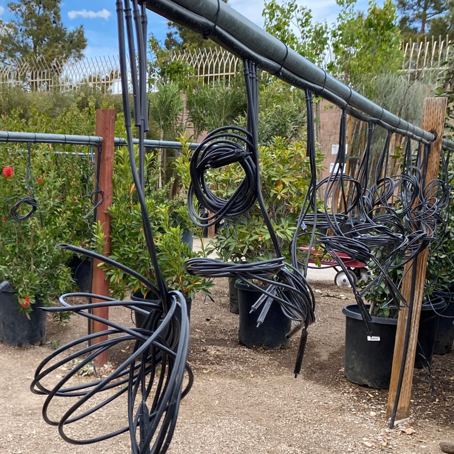 drip line hanging over a garden