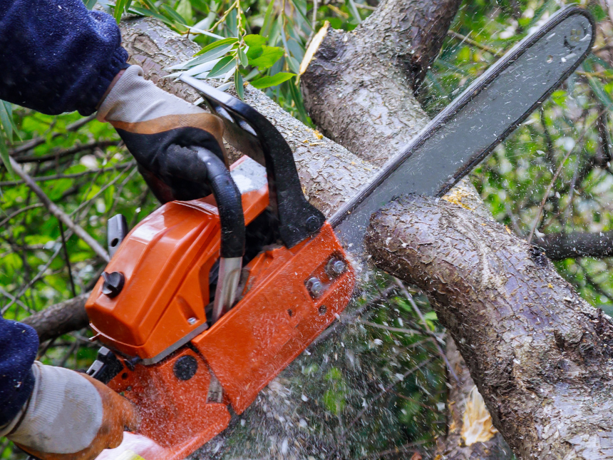 chainsaw cutting through a log