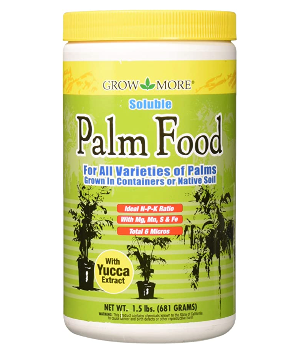 grow more palm food