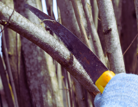 simple hand saw