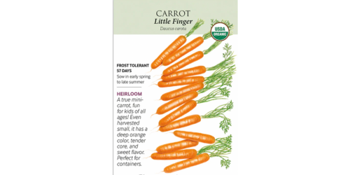 little finger carrots