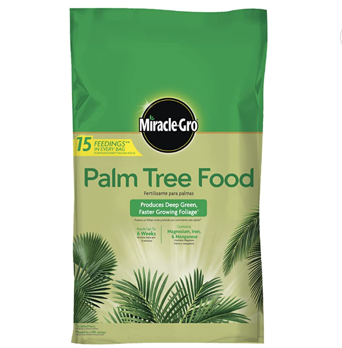 best palm tree fertilizer for the money