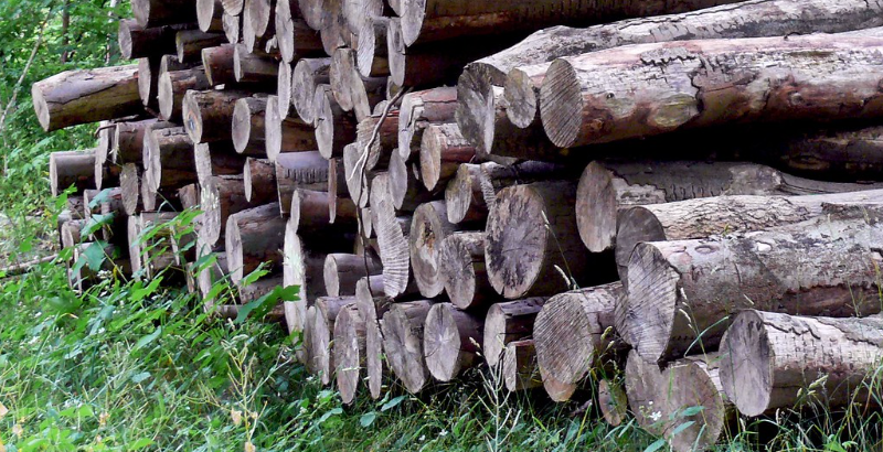 pile of logs on grass