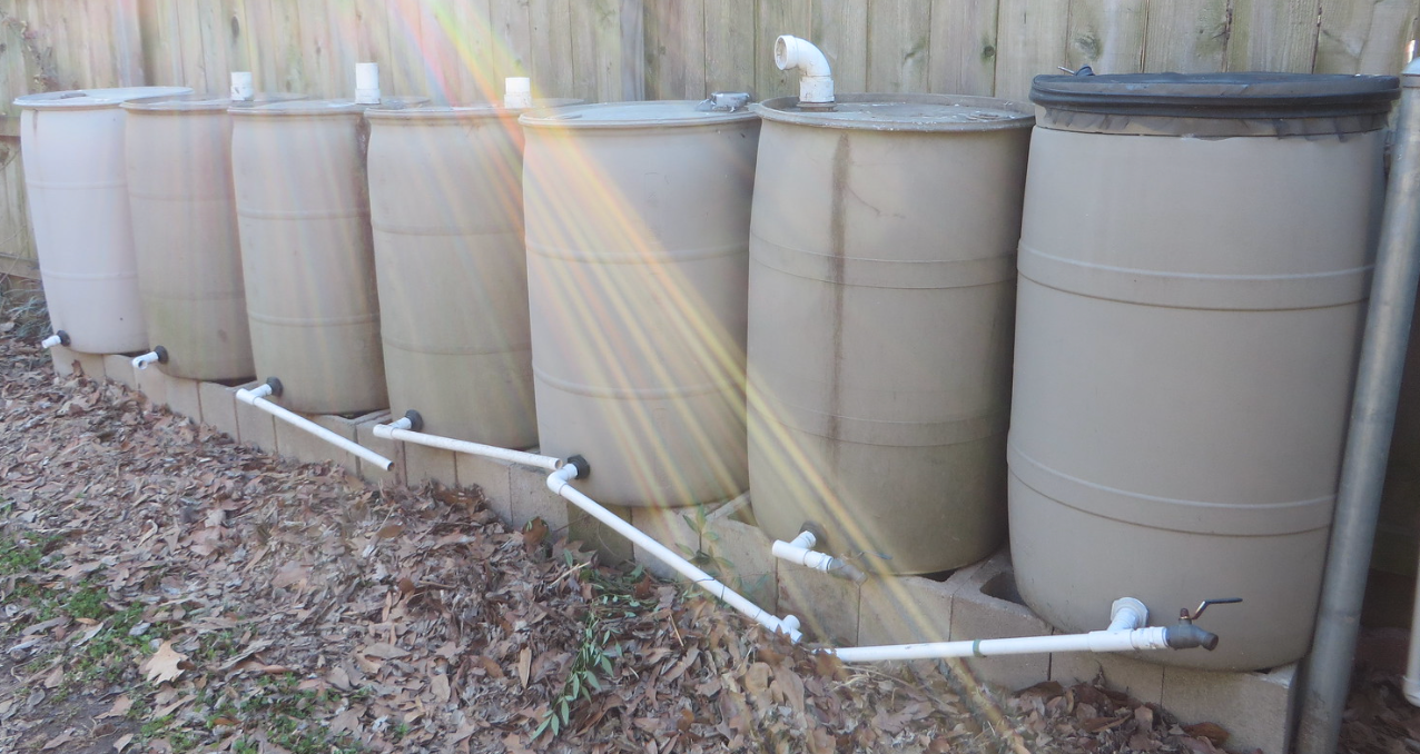 rain barrels