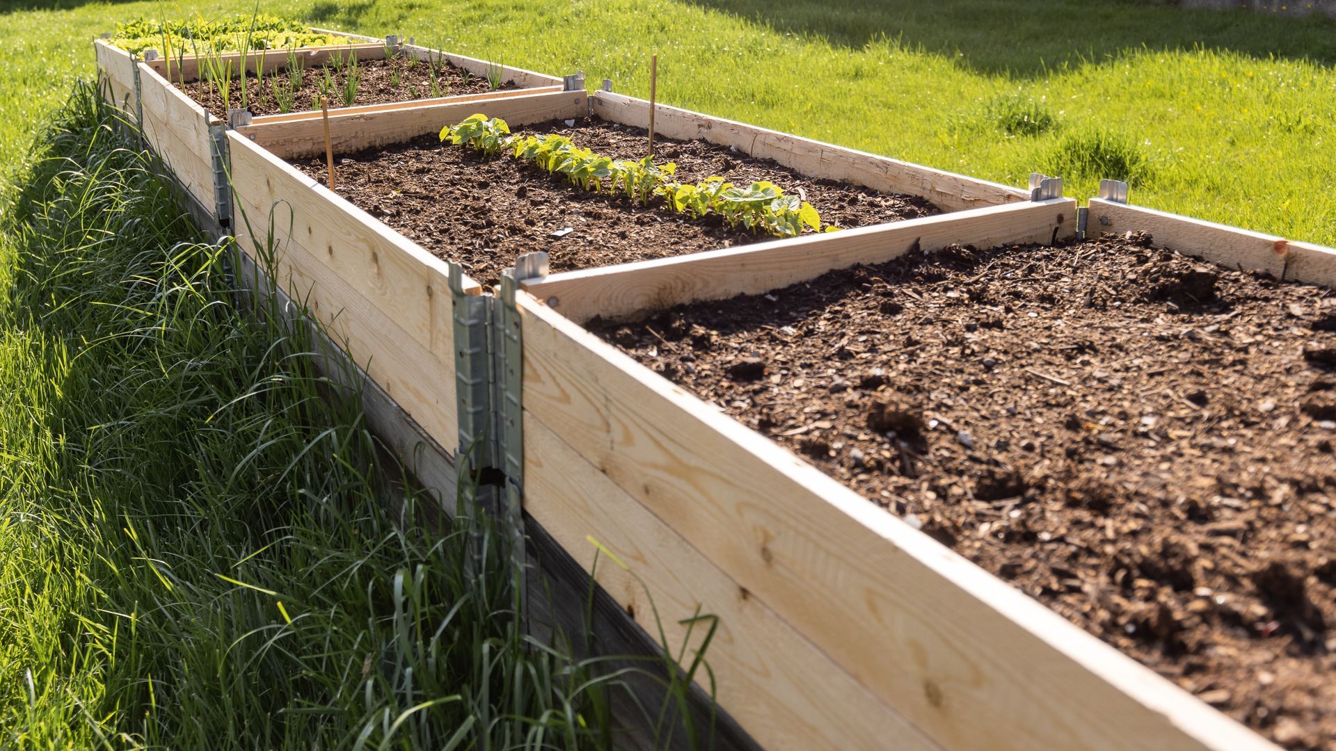 raised garden beds wood