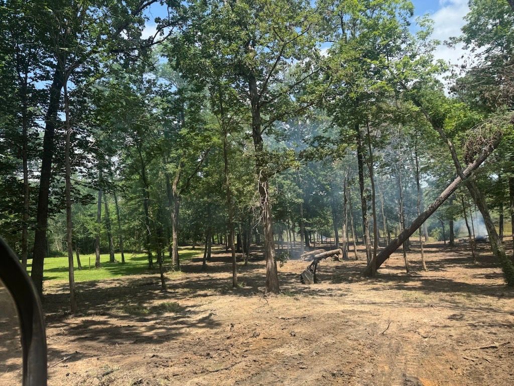 Smoke rises from a clearing with cut trees in a wooded area. Blue sky visible through the trees.