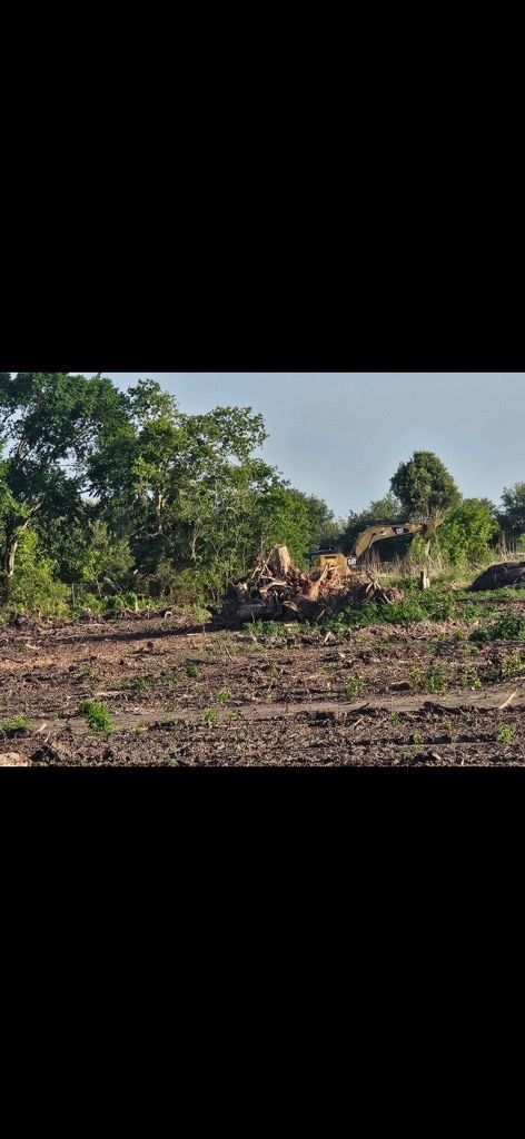 Deforested area with dirt, fallen trees, and a backdrop of green foliage under a clear sky.
