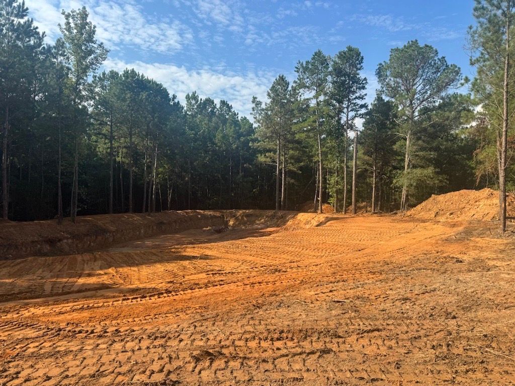 Clearing in a forest, showing brown earth and tall trees under a blue sky.