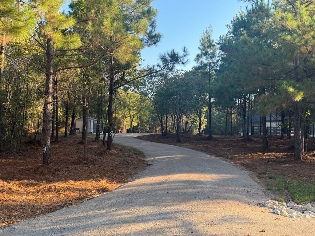 Gravel road winding through a wooded area with tall trees and sunlight.