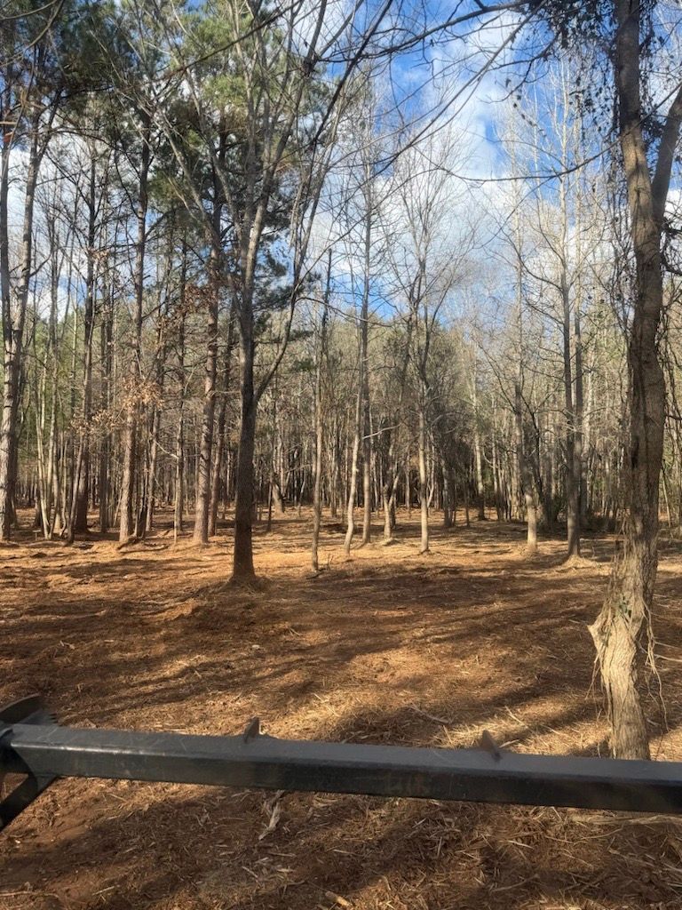 A wooded area with bare trees and brown leaves on the ground under a blue sky.