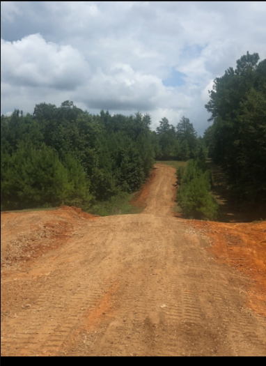 Dirt road leading uphill, surrounded by green trees under a cloudy sky.
