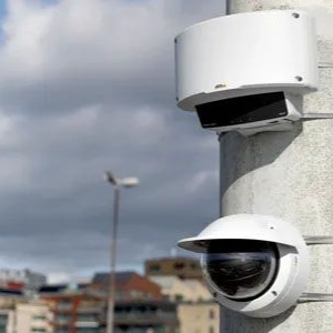 A metal gate with a silhouette of trees on it is in the middle of a driveway.