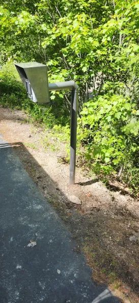 A mailbox is sitting on the side of a road in the woods.
