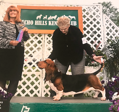 Juniper Showing at Competition — Jefferson, IN — Duffy's Dog Training Center