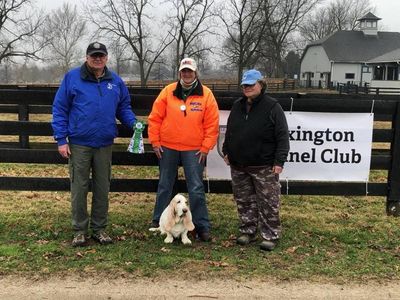 Basset Hound Dog Seti and Family — Jefferson, IN — Duffy's Dog Training Center