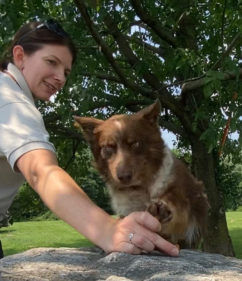 Heidi O'Bryant — Jefferson, IN — Duffy's Dog Training Center