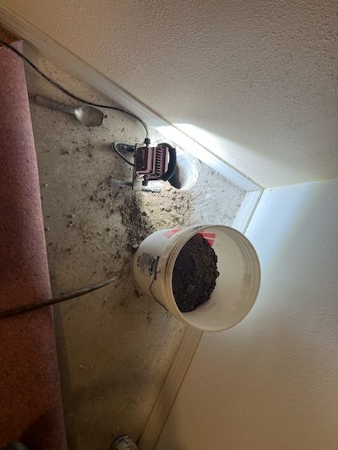 A bucket of dirt is sitting on the floor next to a vacuum cleaner.