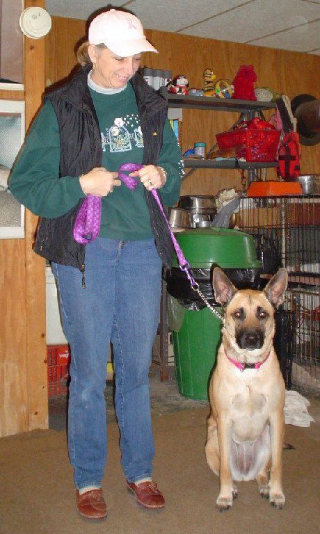 A woman is holding a leash next to a dog