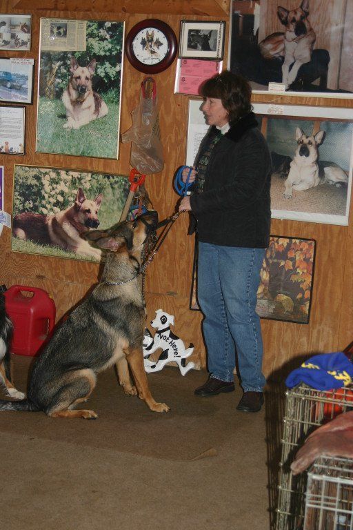 A woman standing next to a dog in a room with pictures of dogs on the wall