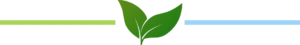 A close up of a green leaf on a white background.