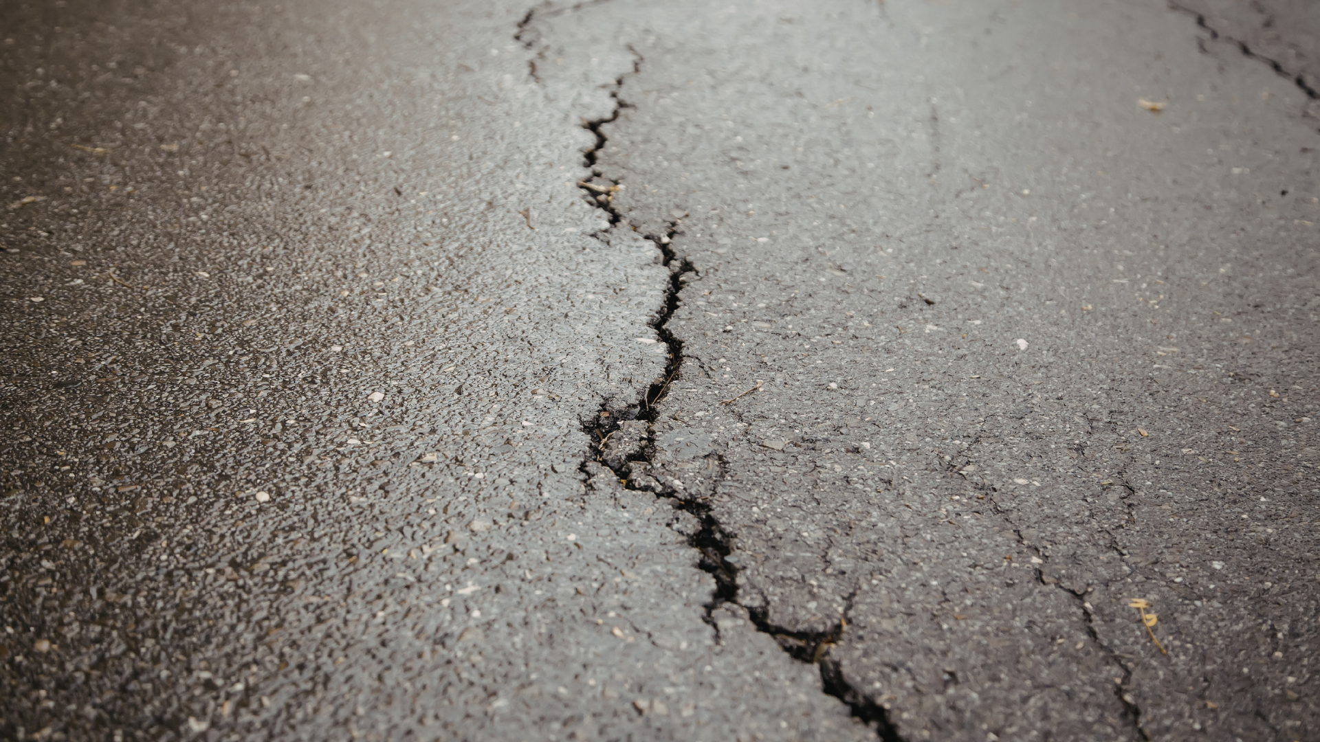 A jagged crack runs vertically through a dark grey asphalt surface.