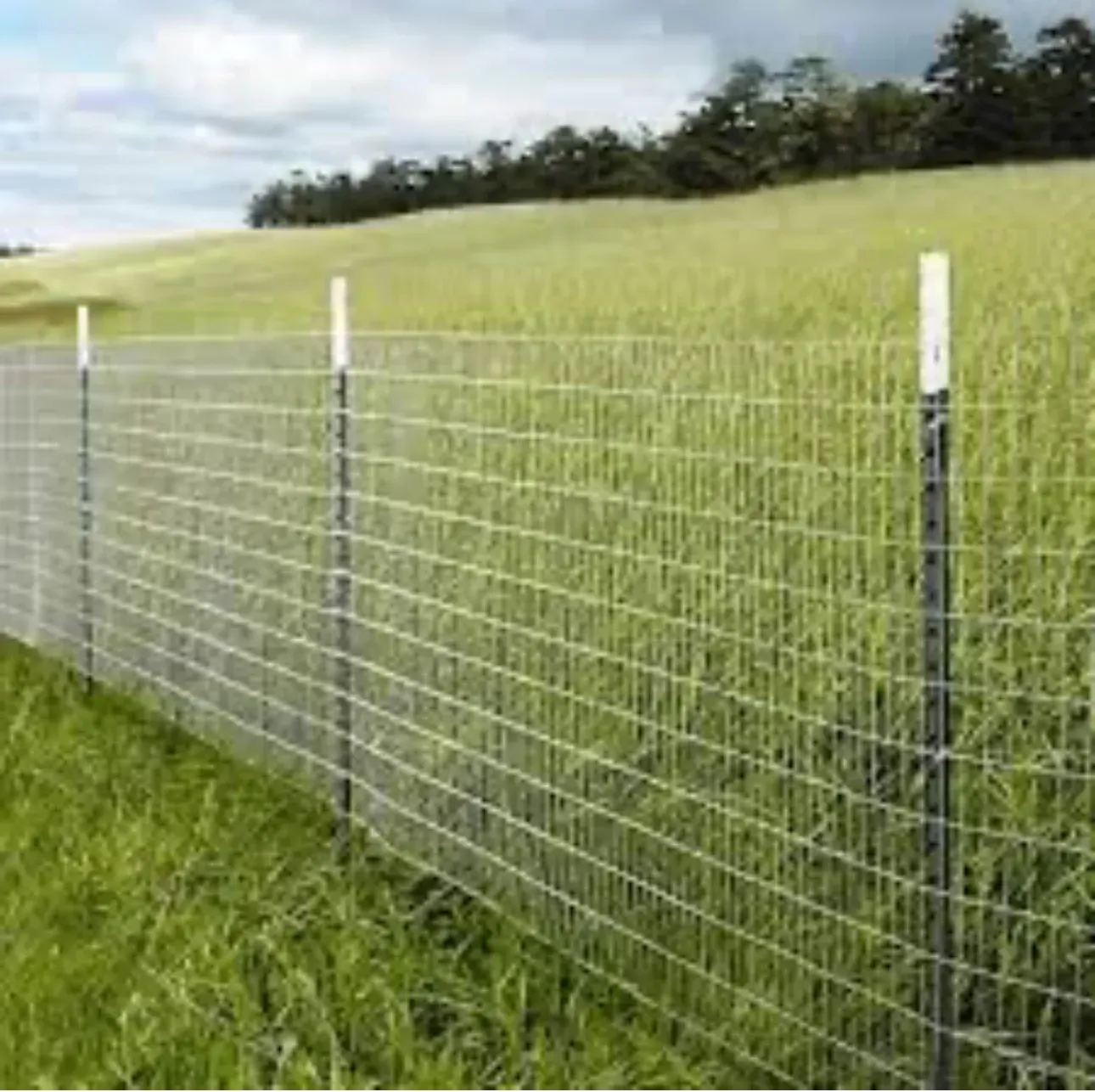 Ark Fence fencing services in Montgomery TX