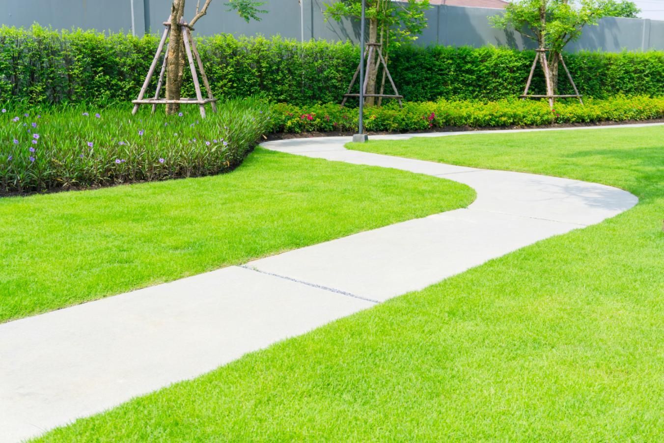 A winding concrete path through green lawn and planted hedges in a sunny garden.