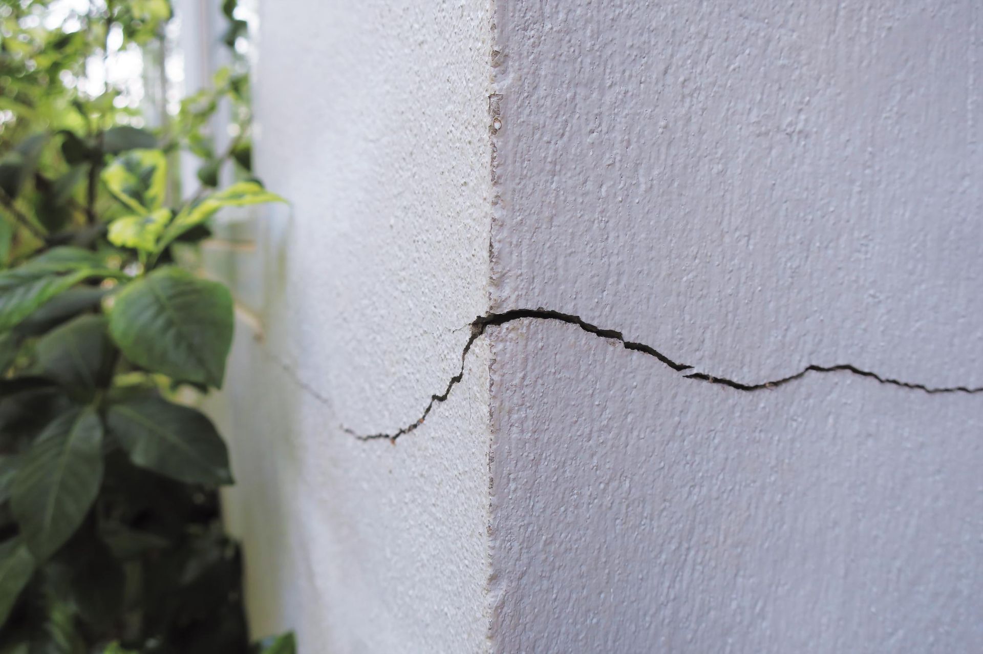 Close-up of a white concrete wall with a long, jagged crack at the corner. Green plants in the background.