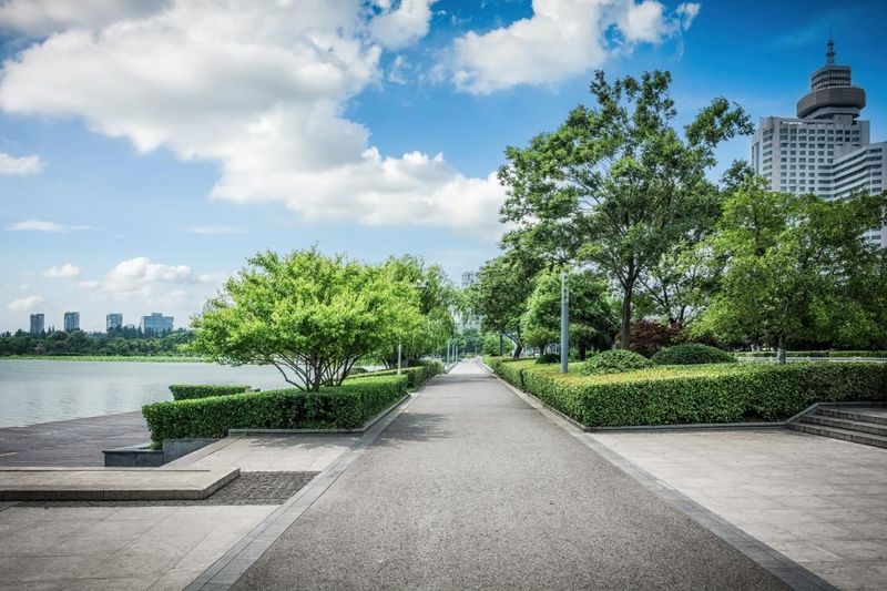 Pathway lined with green hedges and trees, leading to a body of water and city skyline under a blue sky.