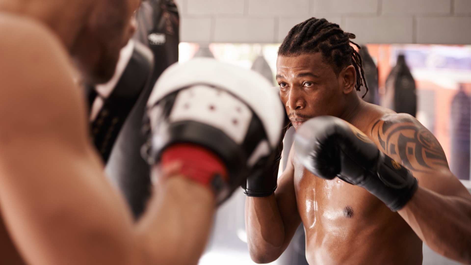 Boxers sparring in a gym, one with arm tattoo, gloves up, focused expression.