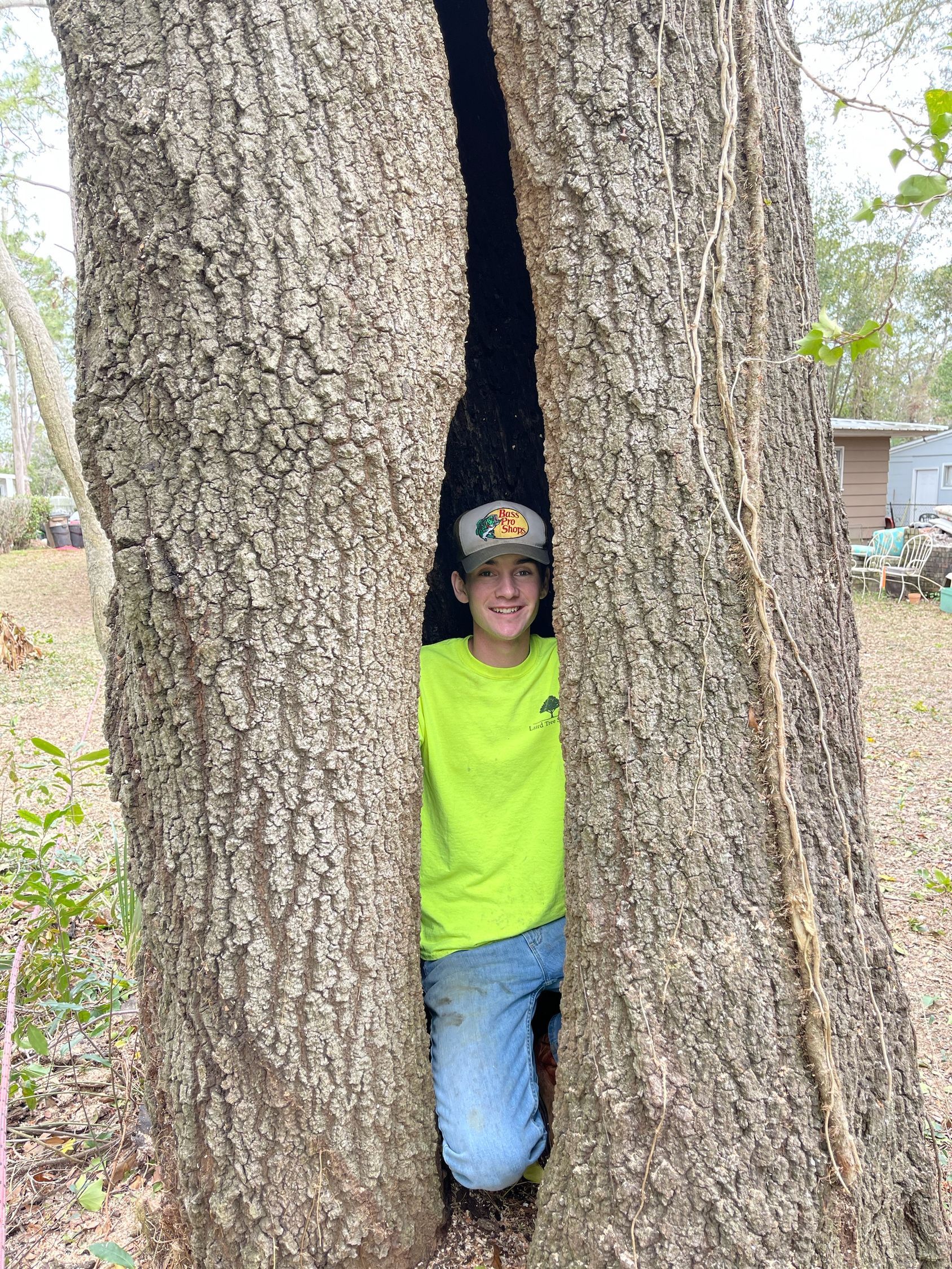 A worker in safety gear trims the top of a large tree while an airplane flies overhead in a blue, cloudy sky.