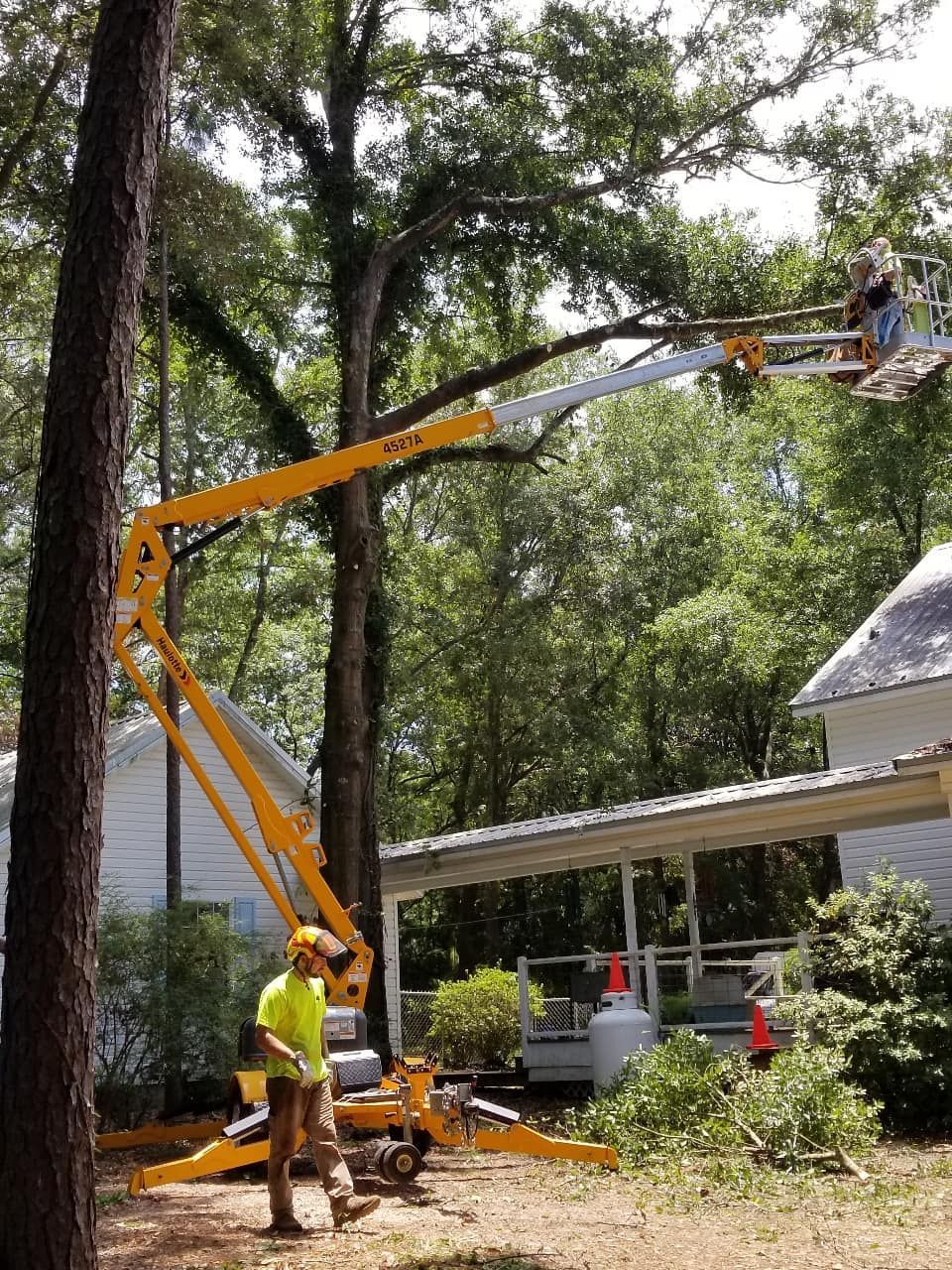 A large tree stump and debris pile sit in a yard near a small stone building and a chainsaw with a STIHL bar.