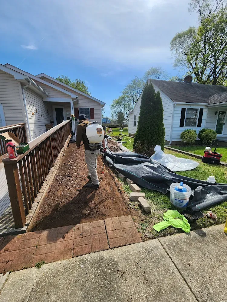 Person spraying along a walkway near homes; brown mulch, black tarp, and lawn are present. Sunny day.