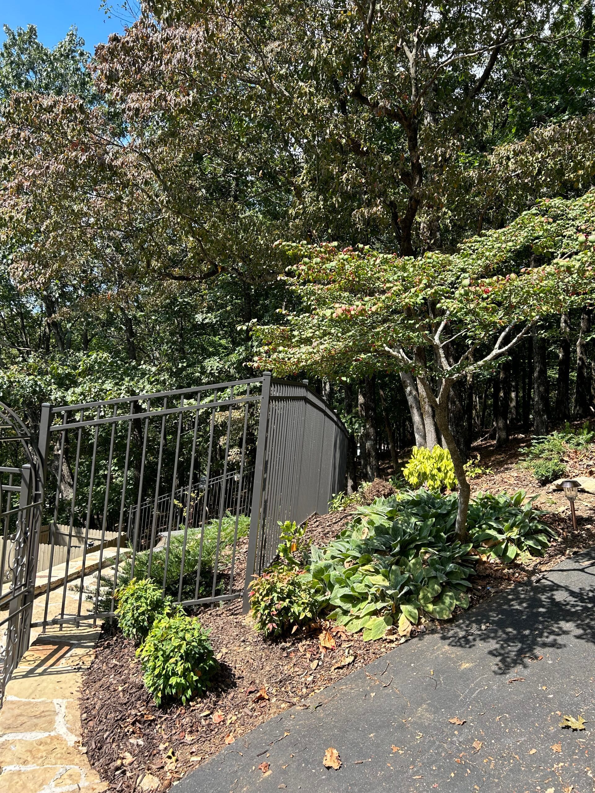 A fence is surrounded by trees and bushes in a garden.