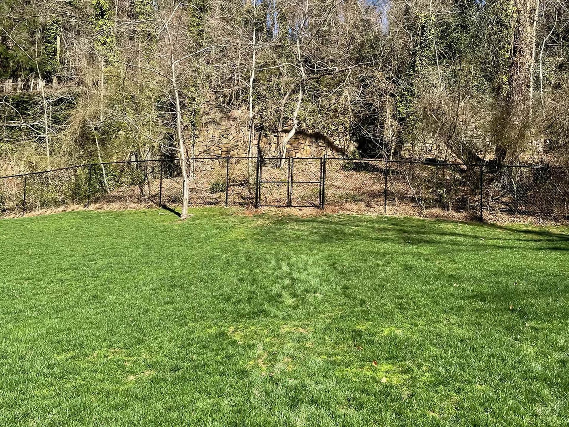 A large lush green field with a fence and trees in the background.