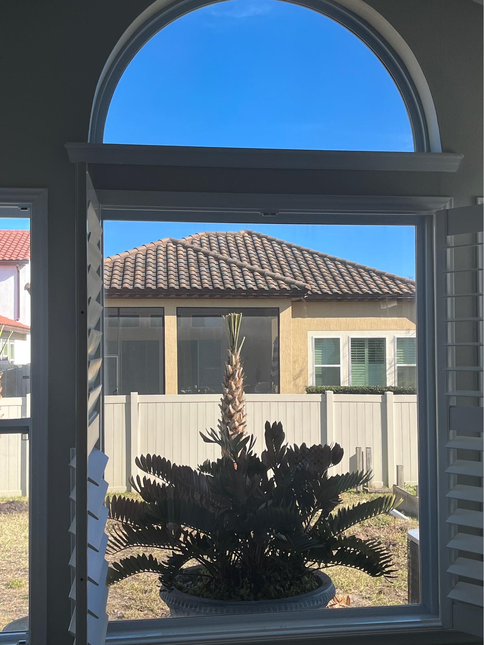 A window with a plant in front of it and a house in the background