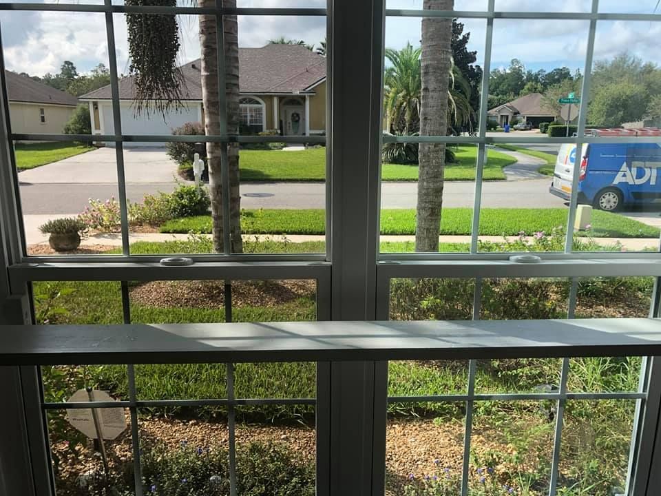 A blue van is parked in front of a window in a residential neighborhood.