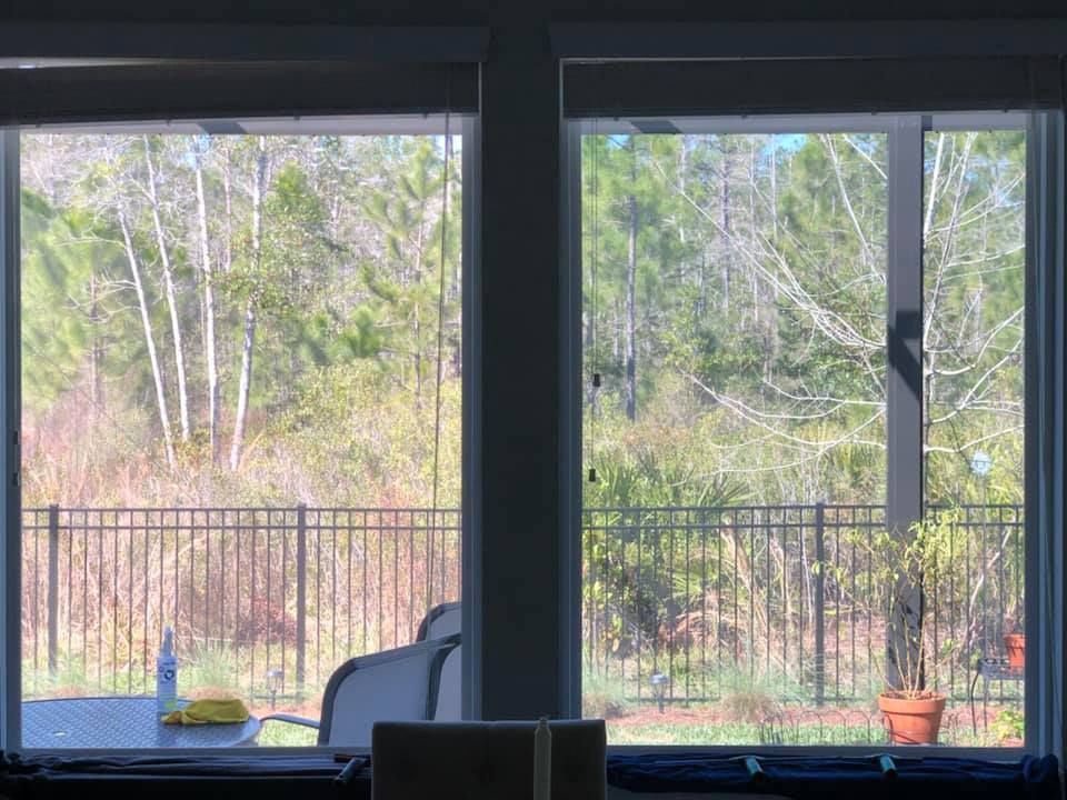 A living room with two windows looking out to a fenced in yard.
