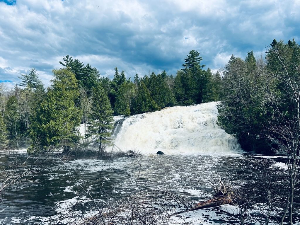 There is a waterfall in the middle of a forest surrounded by trees.