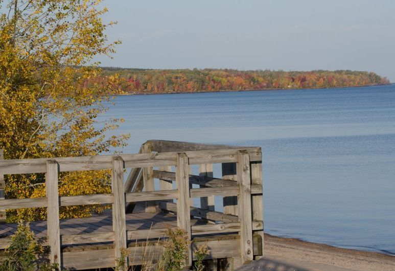 A wooden bridge over a body of water with trees in the background.