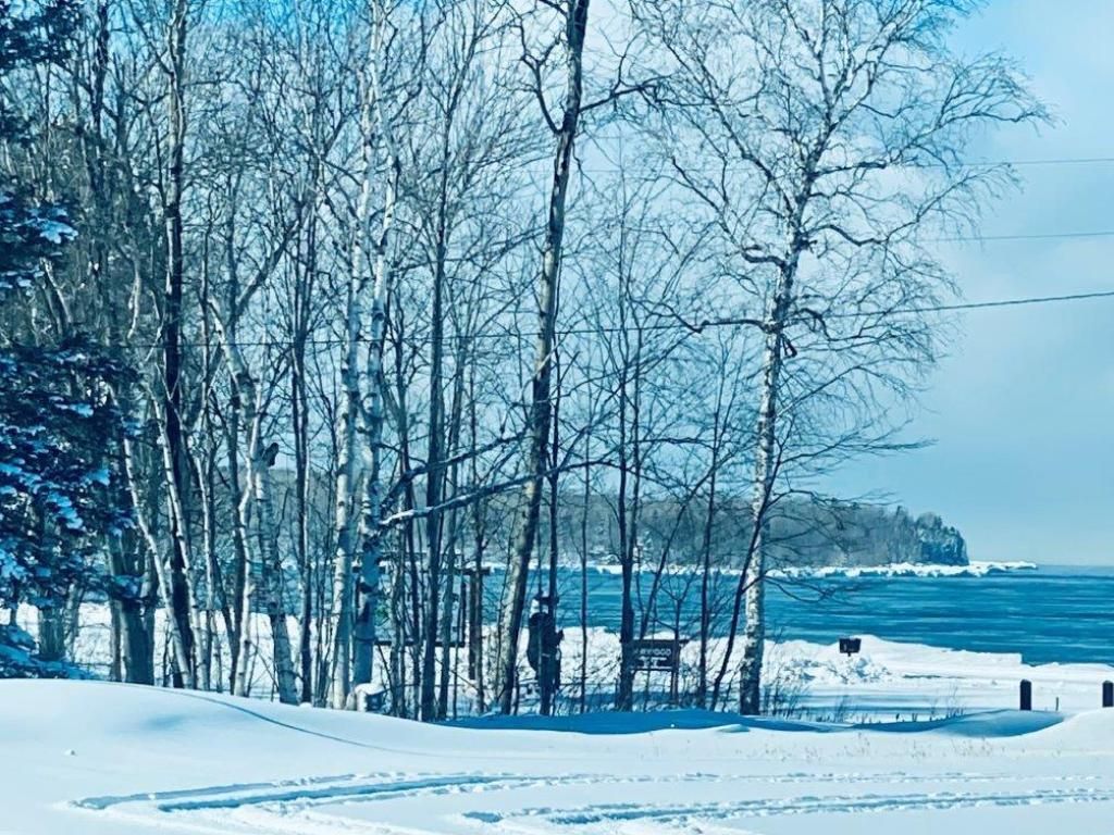 A snowy forest with trees covered in snow and a body of water in the background.
