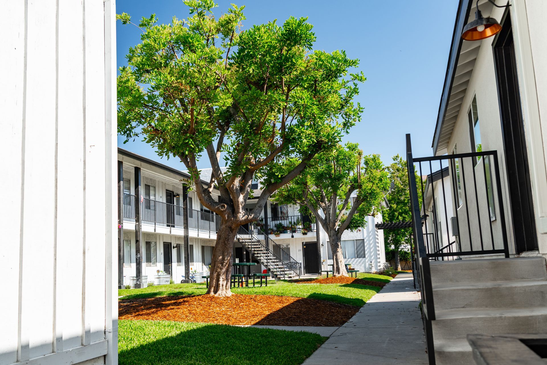 Courtyard with trees and apartments, sunny day.