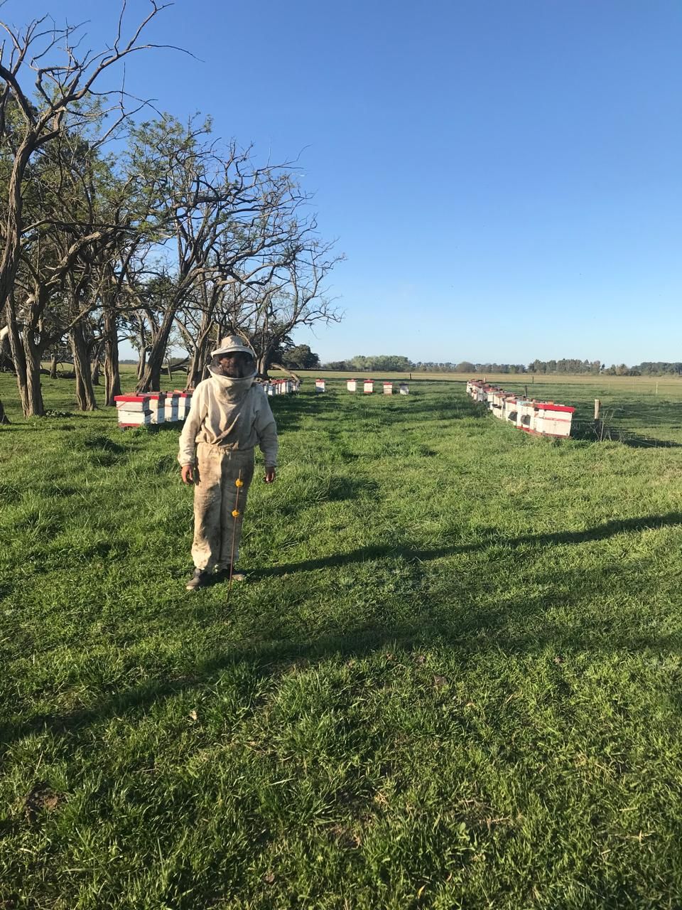 Campo & Corral campo