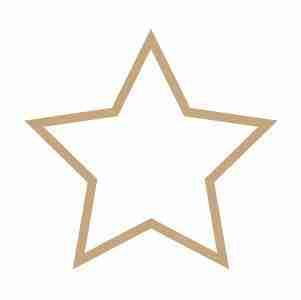 A brown star with a white outline on a white background.